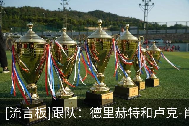 [流言板]跟队：德里赫特和卢克-肖进入曼联客战富勒姆出征名单